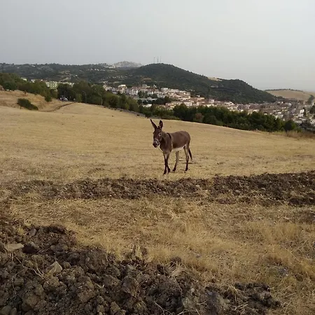 La Casetta Di Vany Vakantiehuis *