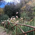 La Casetta Di Vany Ferienhaus Nova Siri