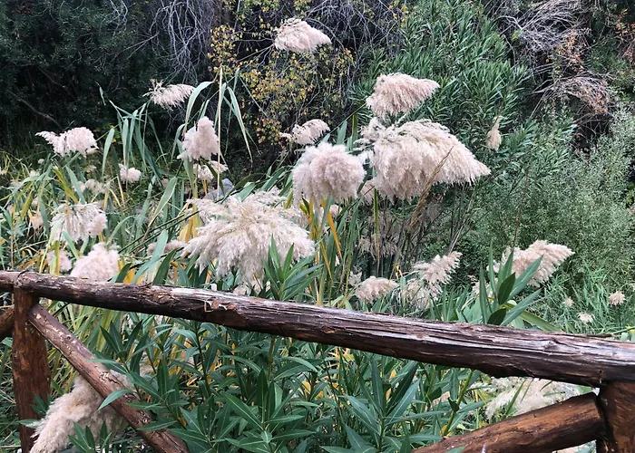 La Casetta Di Vany *