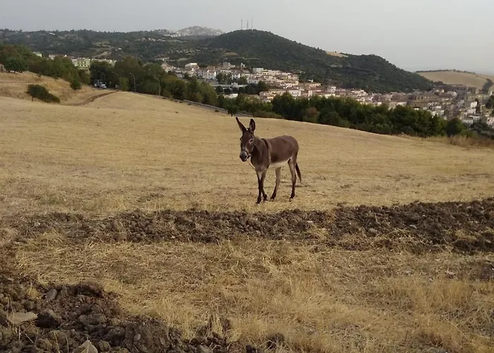 La Casetta Di Vany Casa vacanze *